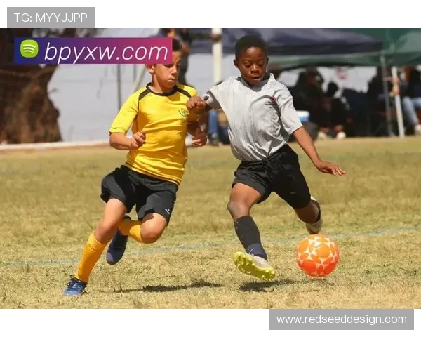 乐鱼直播体育平台全面升级，打造全新沉浸式体育直播体验引领行业新风尚