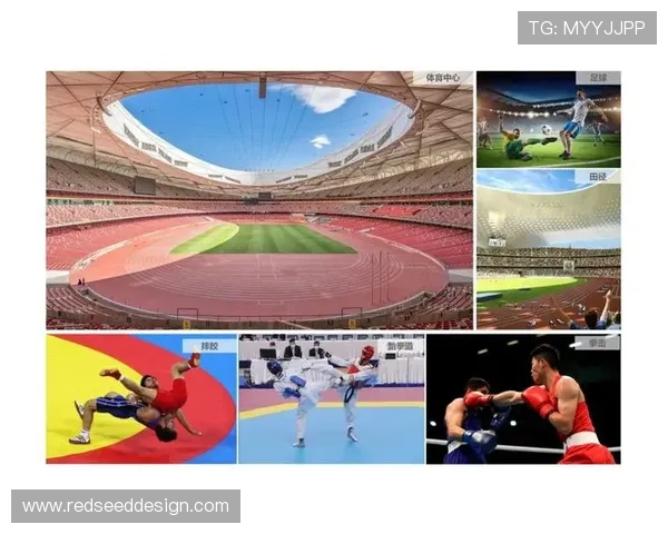 冠竞体育推动体育电竞行业标准化建设，促进行业健康有序发展