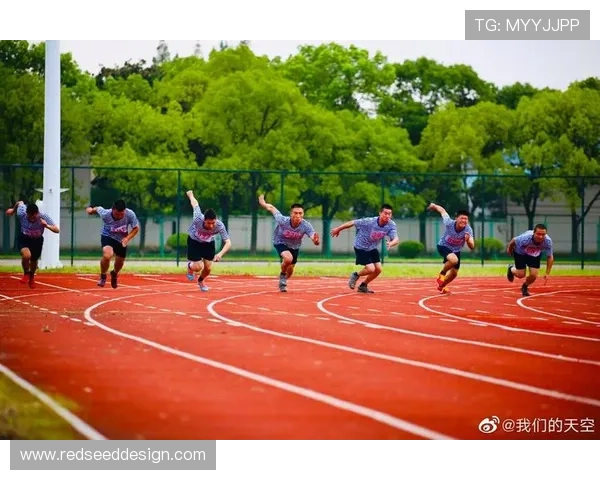 八戒体育全面解析：如何选择最适合你的体育娱乐平台提升运动体验