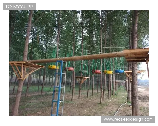 皇冠手机娱乐加强版权保护措施，打击非法内容营造健康良好的娱乐环境